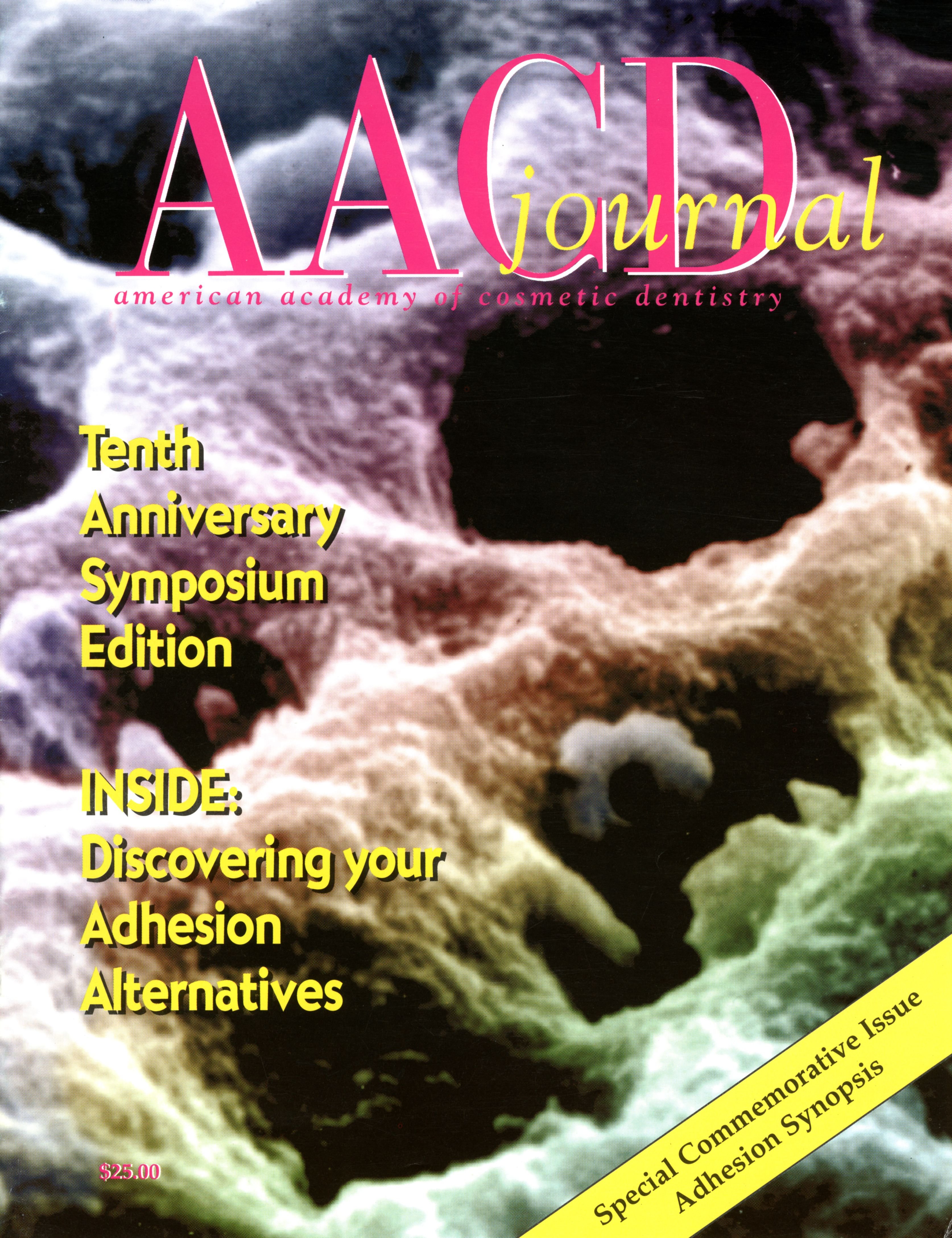 American Academy of Cosmetic Dentistry Journal of Cosmetic Dentistry Volume 9, Issue 4 cover